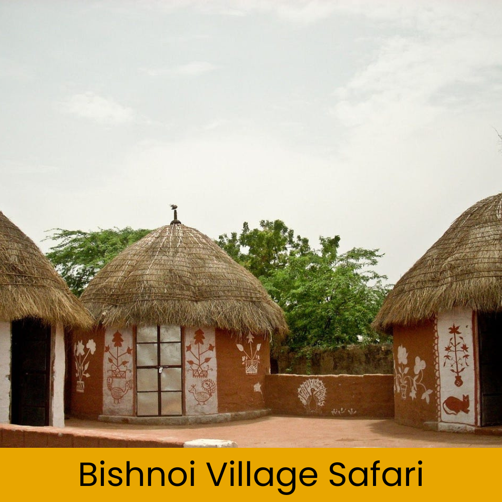 Bishnoi Village Safari